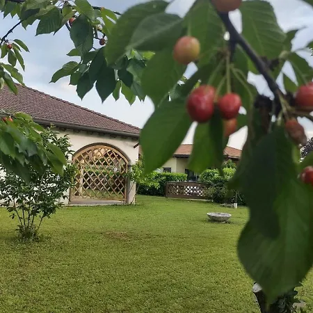 Villa-giardino Le None Villa